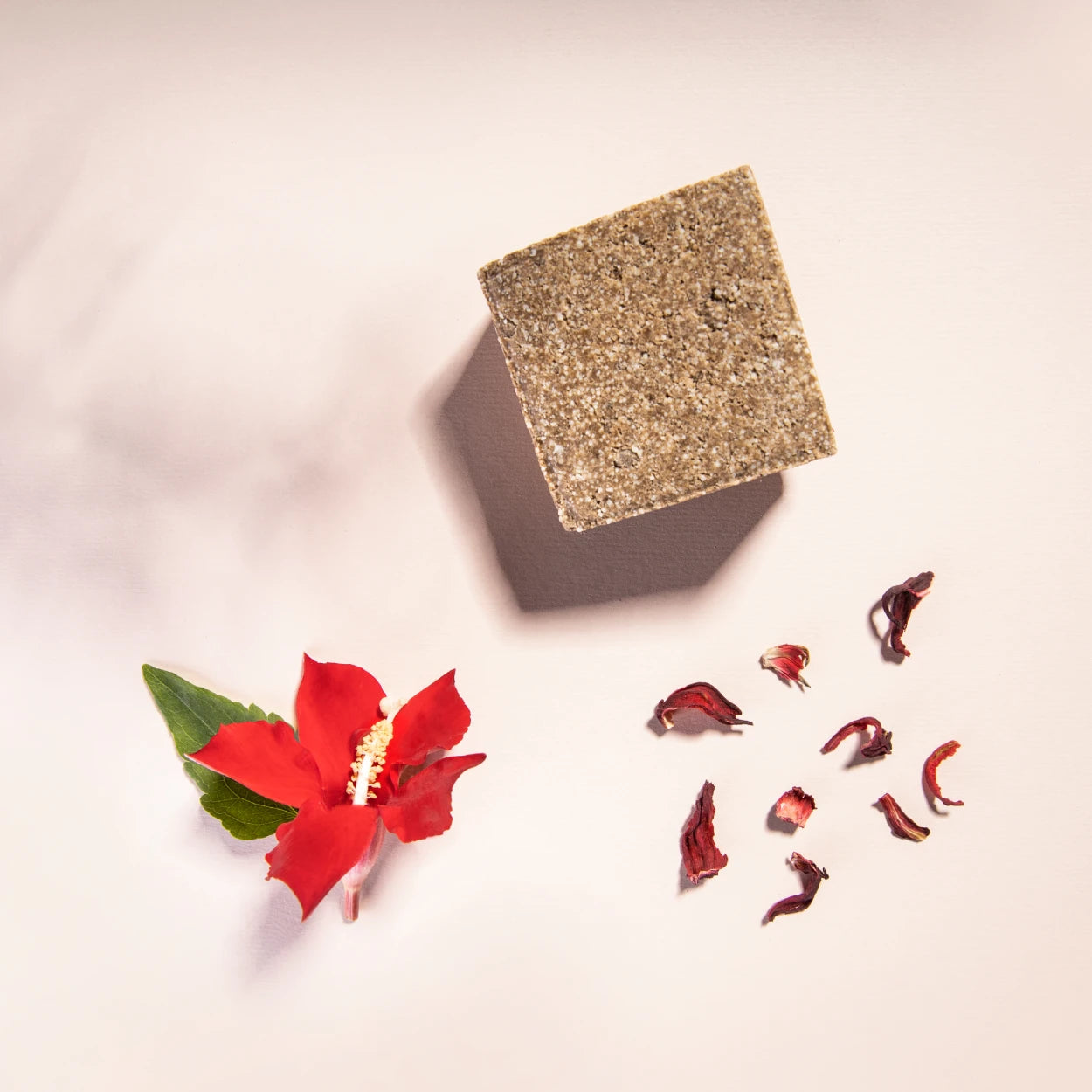 yogh hair revitalising yoghurt shampoo bar with hibiscus outside of box on pink background with its ingredients