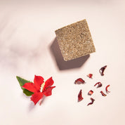 yogh hair revitalising yoghurt shampoo bar with hibiscus outside of box on pink background with its ingredients