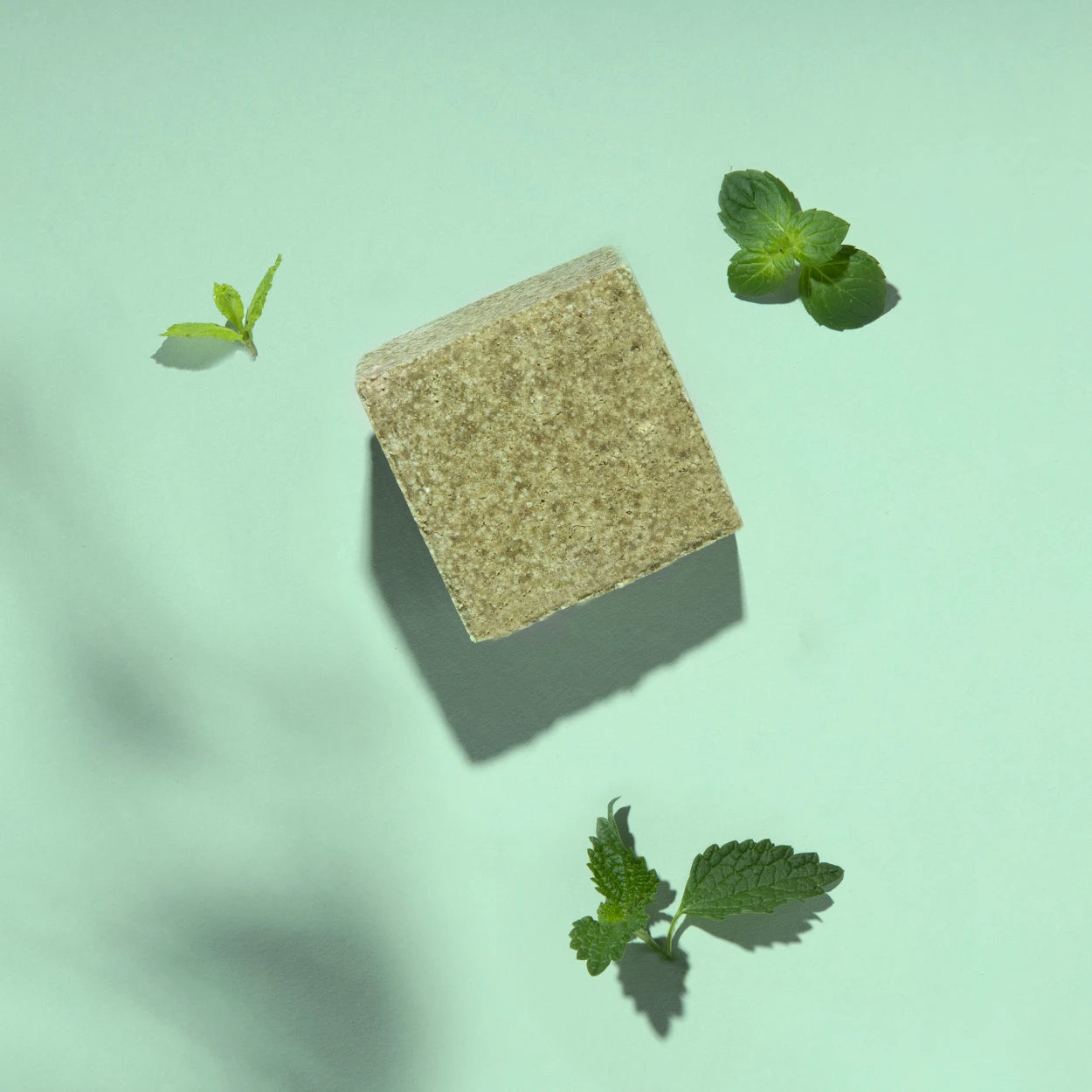yogh hair stimulating yoghurt shampoo bar with mint and nettle outside of box on green background with its ingredients