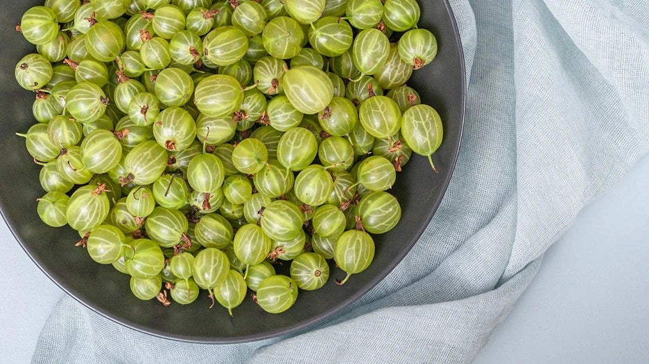 amla fruit