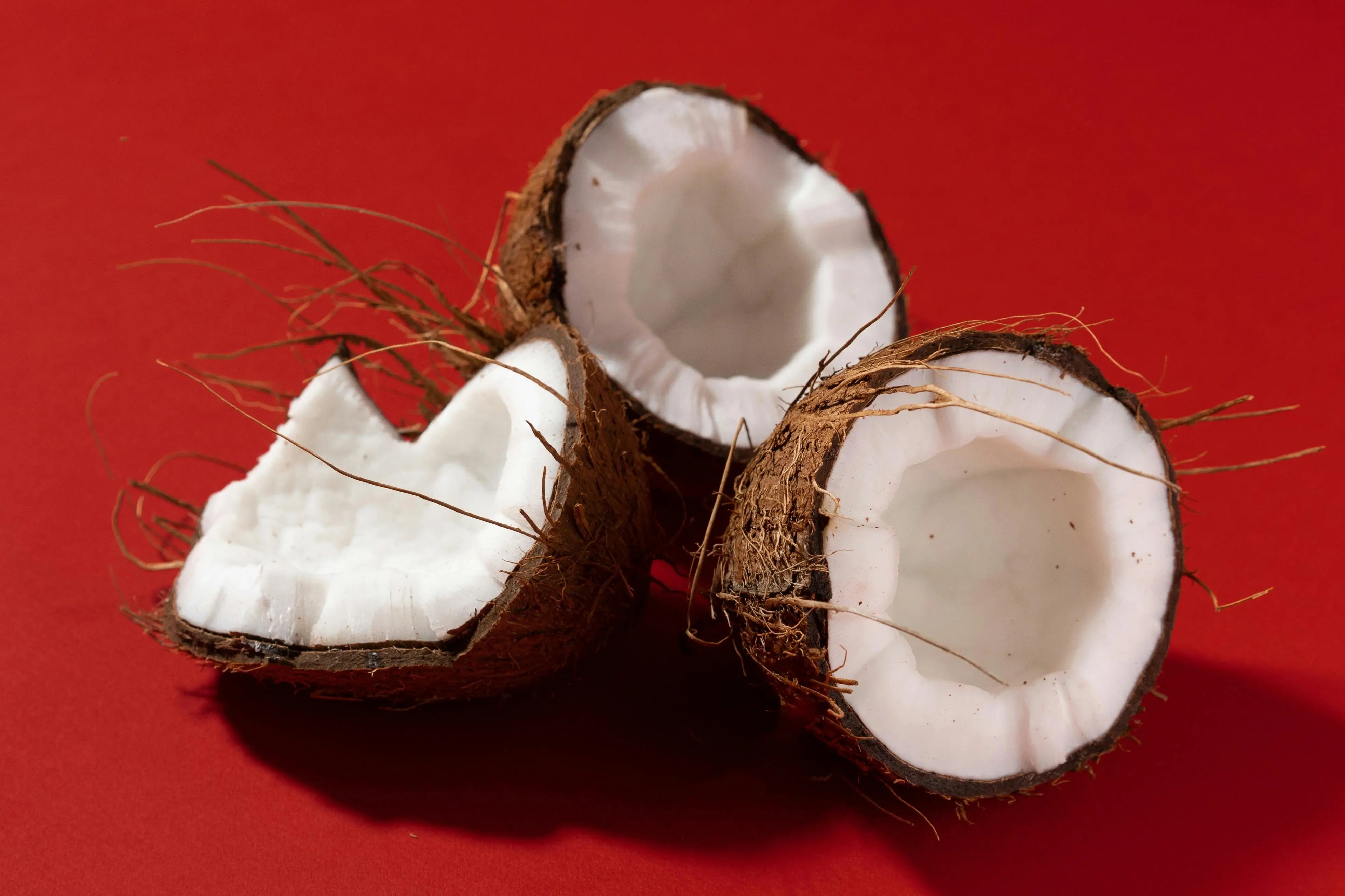 Coconuts open, red background