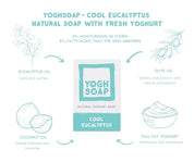 Eucalyptus soap in packaging with graphic illustration of ingredients
