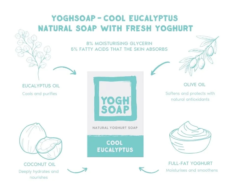 Eucalyptus soap in packaging with graphic illustration of ingredients