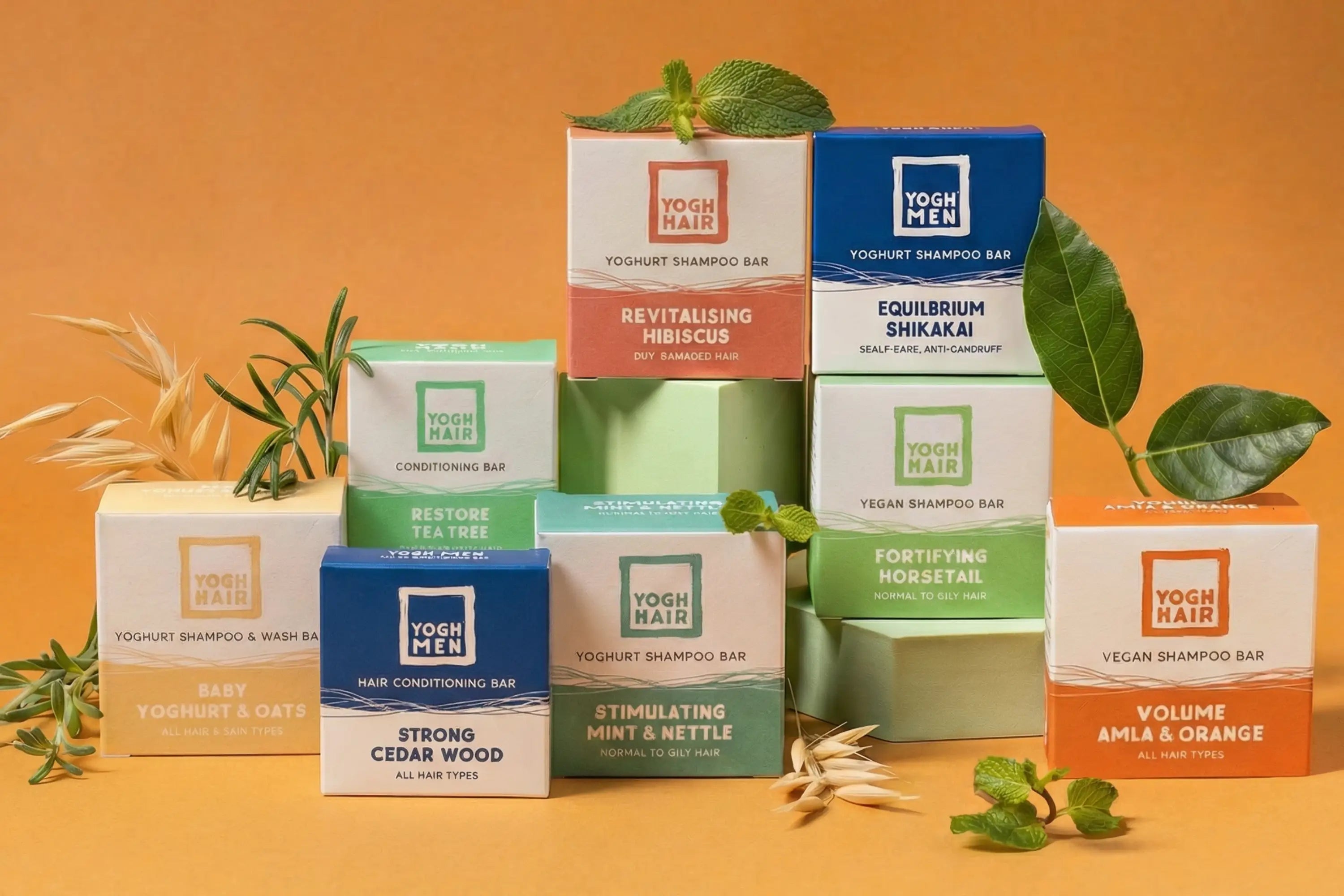 yoghhair products arranged next to their active ingredients