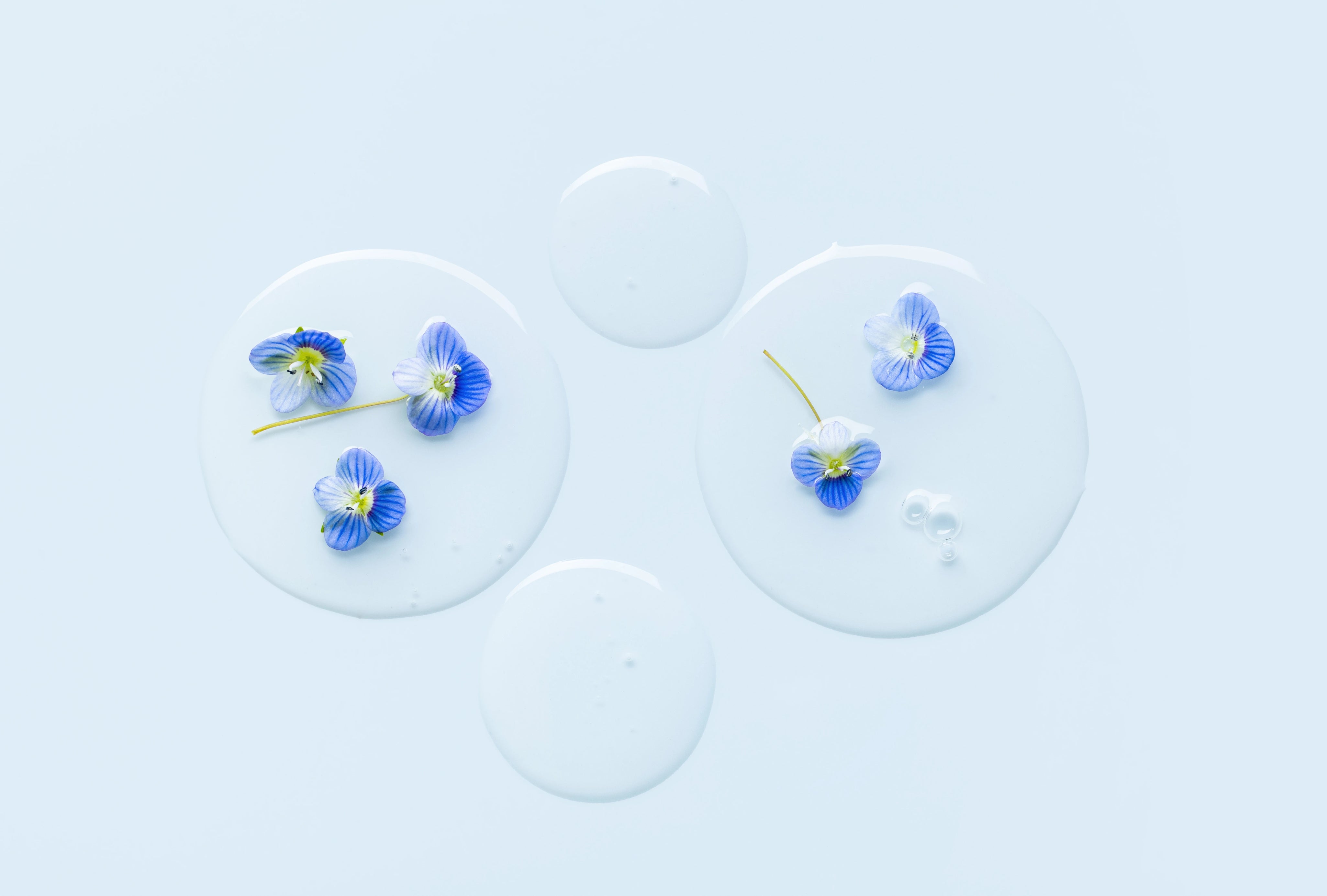 four_drops_water_with_blue_small_flowers_inside.webp