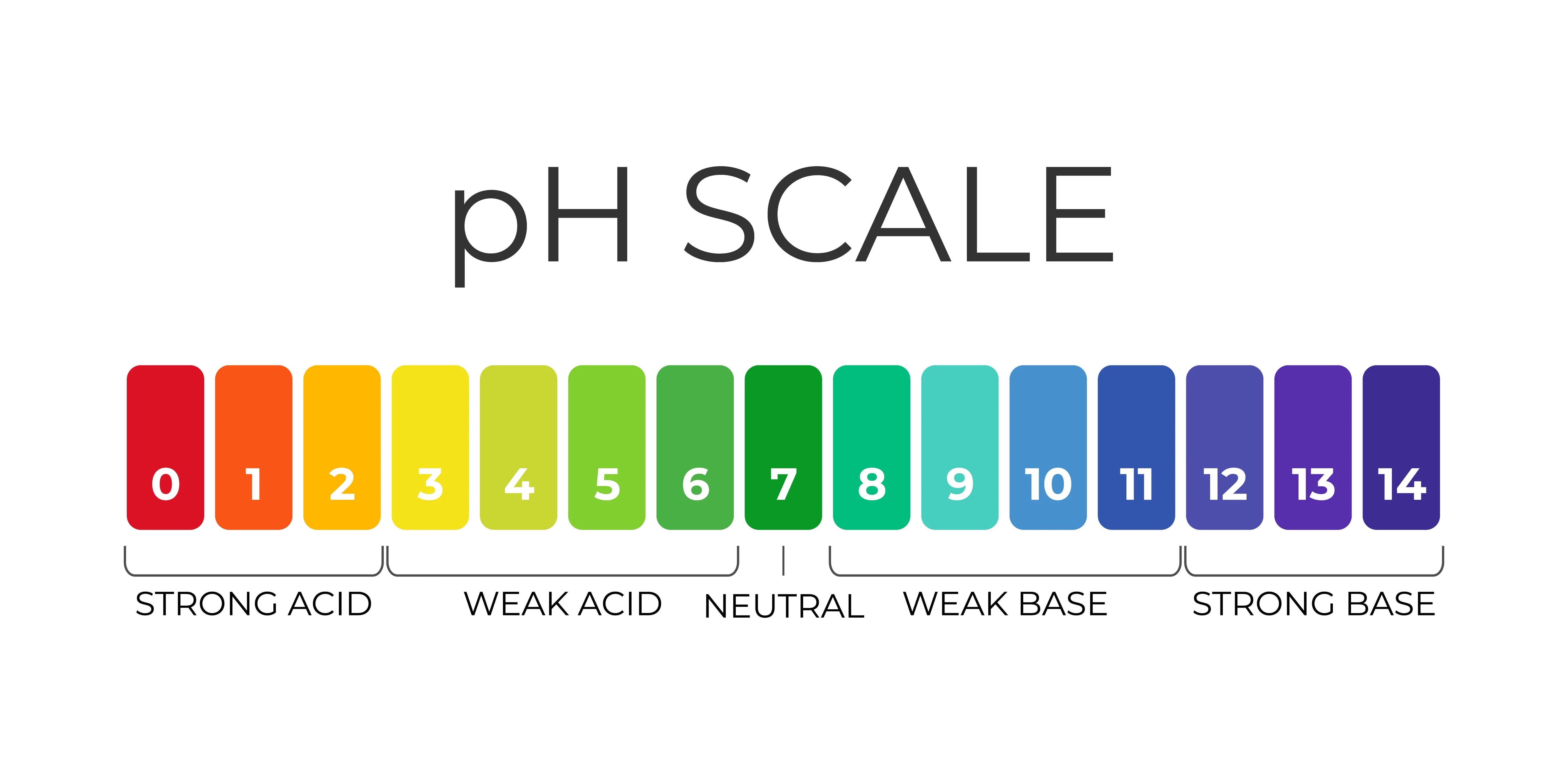 ph scale